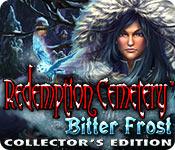 Recurso de captura de tela do jogo Redemption Cemetery: Bitter Frost Collector's Edition