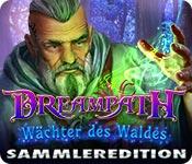 Feature screenshot Spiel Dreampath: Wächter des Waldes Sammleredition