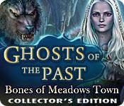 Feature Screenshot Spil Ghosts of the Past: Bones of Meadows Town Collector's Edition