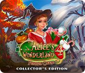 Функция скриншота игры Alice's Wonderland 4: Festive Craze Collector's Edition