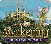 Función de captura de pantalla del juego Awakening: The Dreamless Castle
