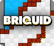 Функция скриншота игры Briquid