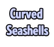 Feature screenshot game Curved Seashells