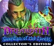 Feature screenshot game Dreampath: Guardian of the Forest Collector's Edition
