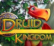 Función de captura de pantalla del juego Druid Kingdom