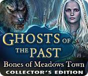 Feature screenshot game Ghosts of the Past: Bones of Meadows Town Collector's Edition