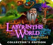 Функция скриншота игры Лабиринты мира: золото дураков коллекционное издание