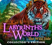 Функция скриншота игры Лабиринты мира: дикая сторона коллекционное издание