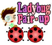 Image Ladybug Pair-Up