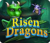 Функция скриншота игры Risen Dragons