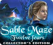Feature screenshot game Sable Maze: Twelve Fears Collector's Edition