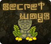Функция скриншота игры Secret Ways