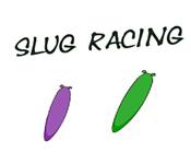 Image Slug Racing