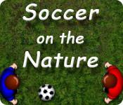 Функция скриншота игры Soccer on the Nature
