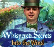 Image Whispered Secrets: Into the Wind