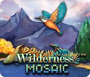 Image Wilderness Mosaic: Where the road takes me