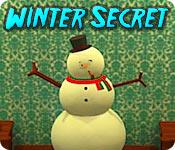 Feature screenshot game Winter Secret