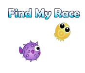 Función de captura de pantalla del juego Find My Race
