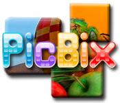 Función de captura de pantalla del juego PicBix