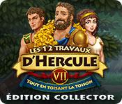 La fonctionnalité de capture d'écran de jeu Les 12 Travaux d’Hercule VII: Tout en toisant la Toison Édition Collector