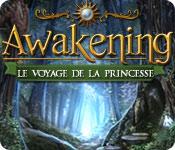La fonctionnalité de capture d'écran de jeu Awakening: Le Voyage de la Princesse