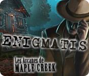 La fonctionnalité de capture d'écran de jeu Enigmatis: Les Arcanes de Maple Creek