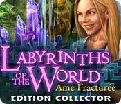 La fonctionnalité de capture d'écran de jeu Labyrinths of the World: Ame Fracturée Edition Collector