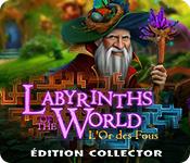 La fonctionnalité de capture d'écran de jeu Labyrinths of the World: L'Or des Fous Édition Collector