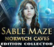 La fonctionnalité de capture d'écran de jeu Sable Maze: Norwich Caves Edition Collector