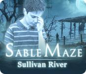 La fonctionnalité de capture d'écran de jeu Sable Maze: Sullivan River
