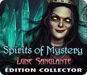 La fonctionnalité de capture d'écran de jeu Spirits of Mystery: Lune Sanglante Édition Collector