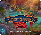 Экран-снимок игры Spirit Legends: Finding Balance Collector's Edition