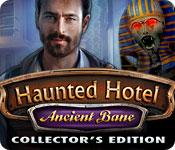Functie screenshot spel Haunted Hotel: Ancient Bane Collector's Edition