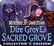 Functie screenshot spel Mystery Case Files: Dire Grove, Sacred Grove Collector's Edition